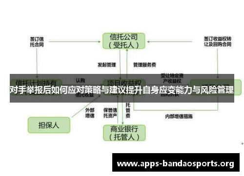 对手举报后如何应对策略与建议提升自身应变能力与风险管理