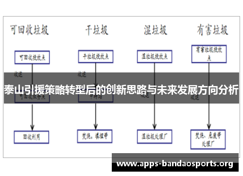泰山引援策略转型后的创新思路与未来发展方向分析