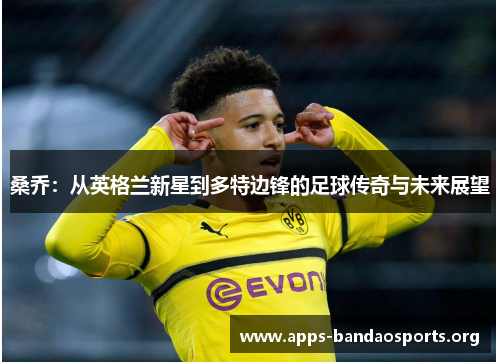桑乔：从英格兰新星到多特边锋的足球传奇与未来展望