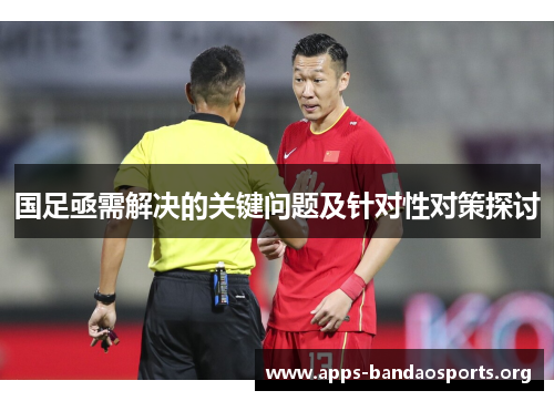 国足亟需解决的关键问题及针对性对策探讨