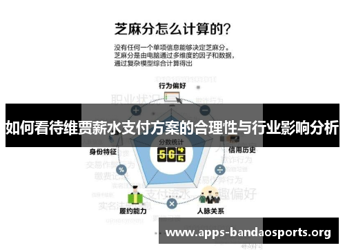如何看待维贾薪水支付方案的合理性与行业影响分析