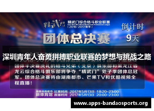 深圳青年人奋勇拼搏职业联赛的梦想与挑战之路