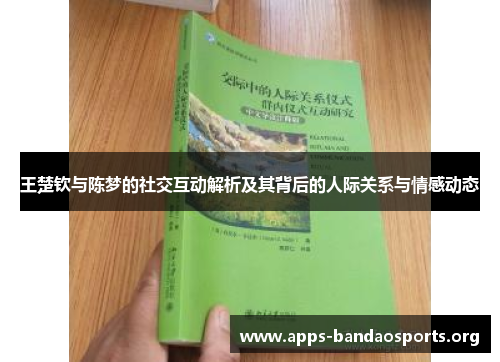 王楚钦与陈梦的社交互动解析及其背后的人际关系与情感动态