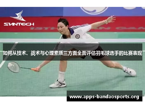 如何从技术、战术与心理素质三方面全面评估羽毛球选手的比赛表现