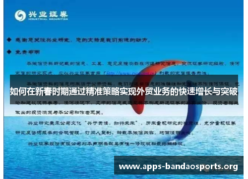 如何在新春时期通过精准策略实现外贸业务的快速增长与突破