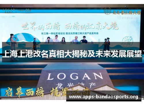 上海上港改名真相大揭秘及未来发展展望