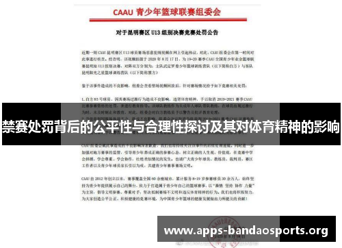 禁赛处罚背后的公平性与合理性探讨及其对体育精神的影响