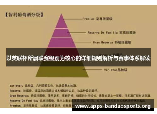 以英联杯所属联赛级别为核心的详细规则解析与赛事体系解读