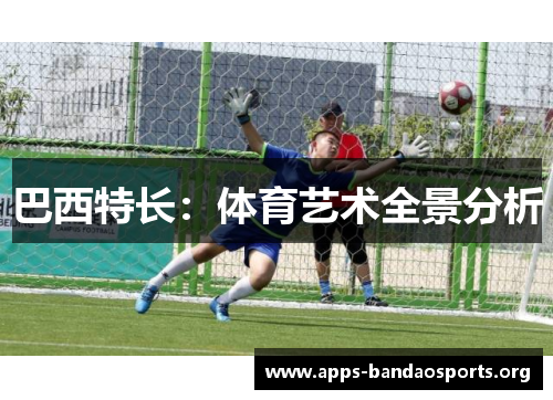 巴西特长：体育艺术全景分析