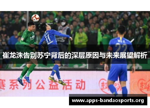 崔龙洙告别苏宁背后的深层原因与未来展望解析