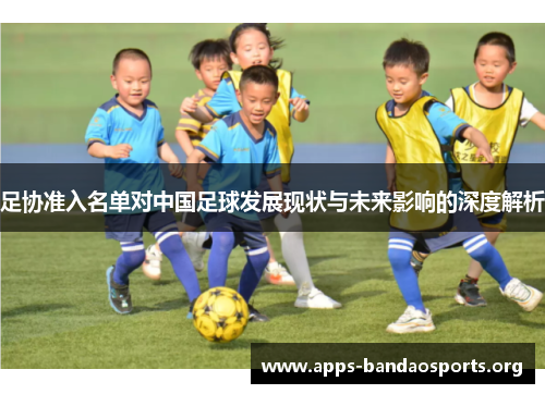 足协准入名单对中国足球发展现状与未来影响的深度解析