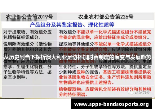 从历史到当下探析澳大利亚足协杯加时赛制度的演变与发展趋势