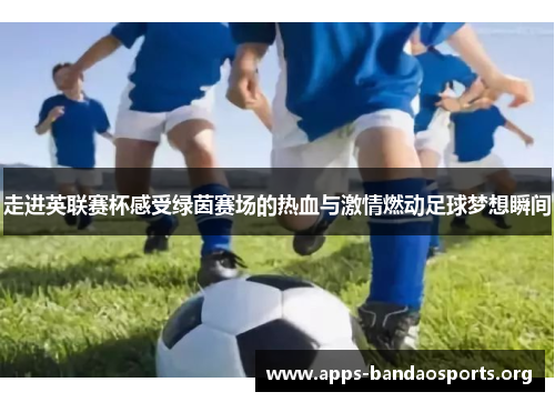 走进英联赛杯感受绿茵赛场的热血与激情燃动足球梦想瞬间