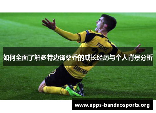 如何全面了解多特边锋桑乔的成长经历与个人背景分析